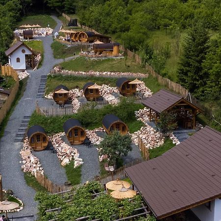 Complex Butoaiele Transilvaniei - Cazare & Spa - Natura - Relaxare Медиаш Экстерьер фото