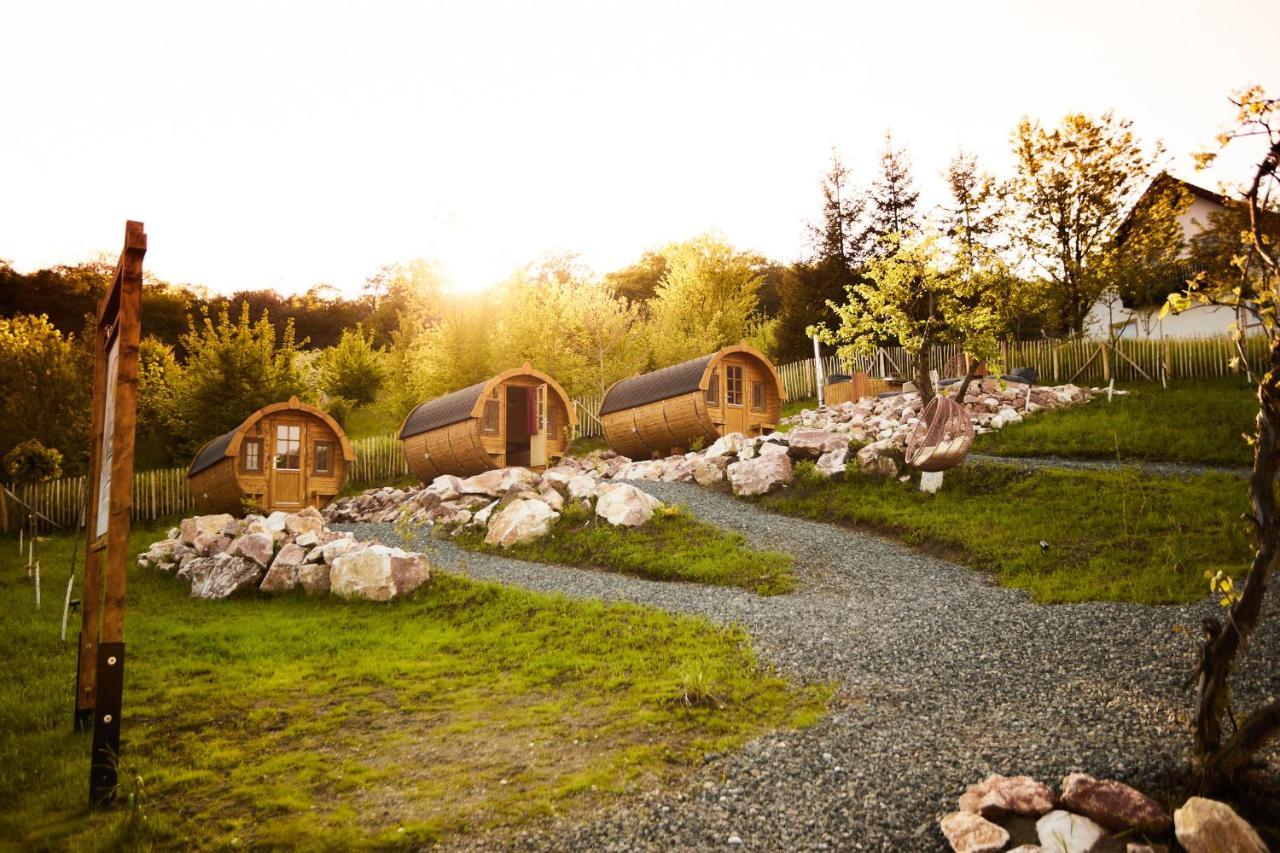 Complex Butoaiele Transilvaniei - Cazare & Spa - Natura - Relaxare Медиаш Экстерьер фото