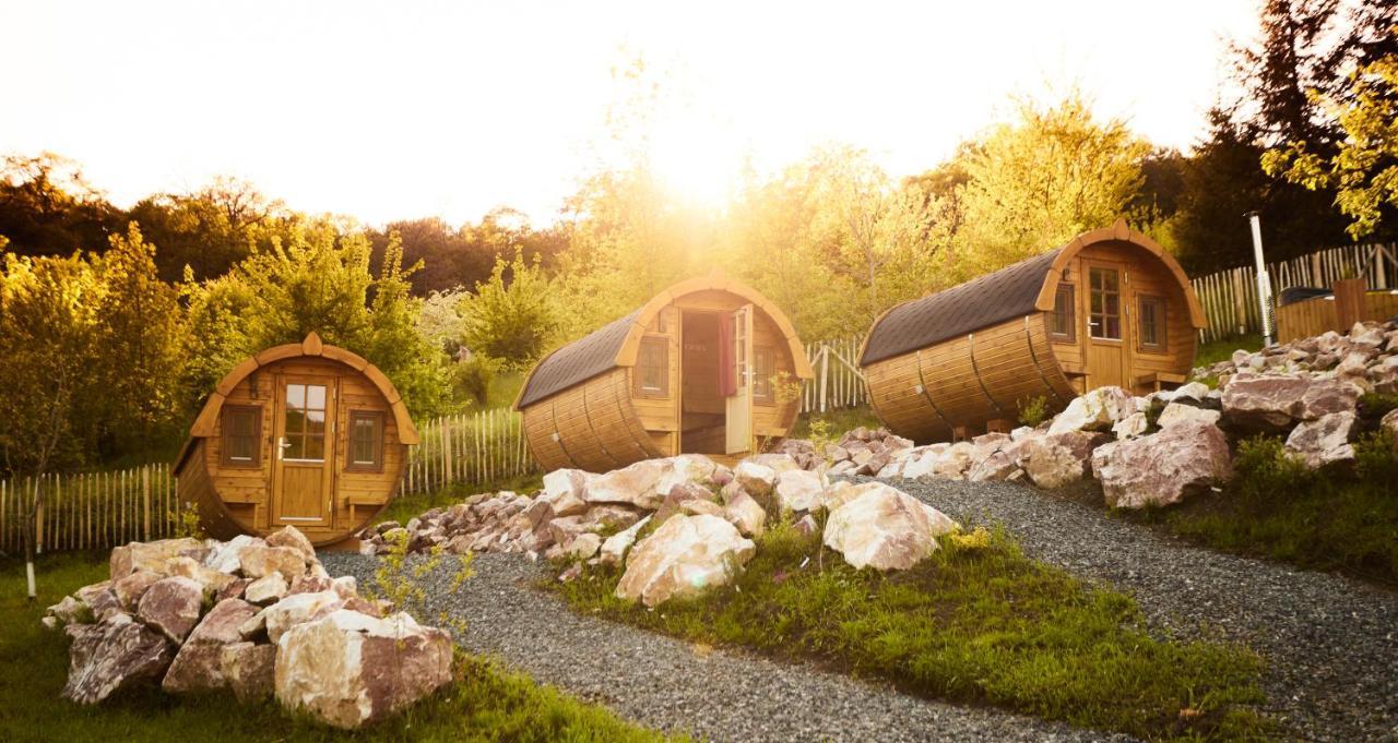 Complex Butoaiele Transilvaniei - Cazare & Spa - Natura - Relaxare Медиаш Экстерьер фото