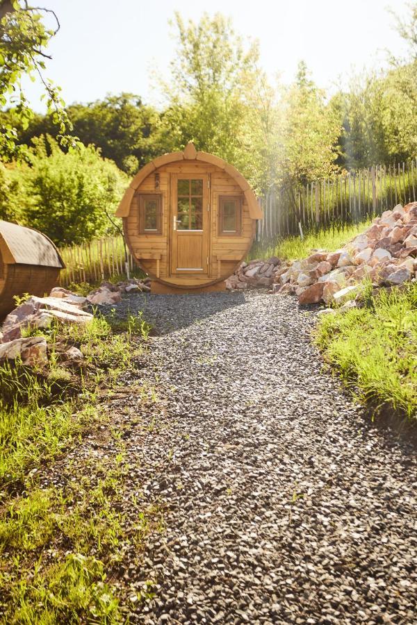 Complex Butoaiele Transilvaniei - Cazare & Spa - Natura - Relaxare Медиаш Экстерьер фото